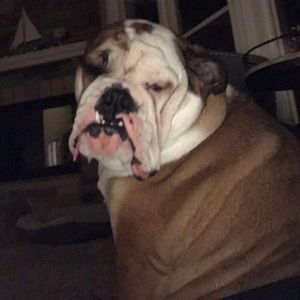 Meet your Posher, Julia